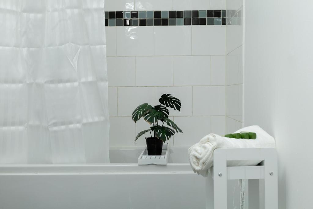Spacious City Centre 2 Bedroom Apartment - Lt Apartment Leicester Esterno foto